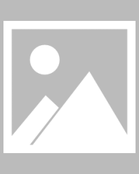  国王启用全新跑轰战术，福克斯场均助攻创新高